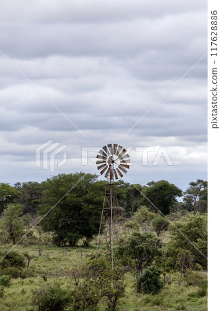Old mechanical windmill in South Africa savanna Old mechanical windmill in South Africa savanna 117628886