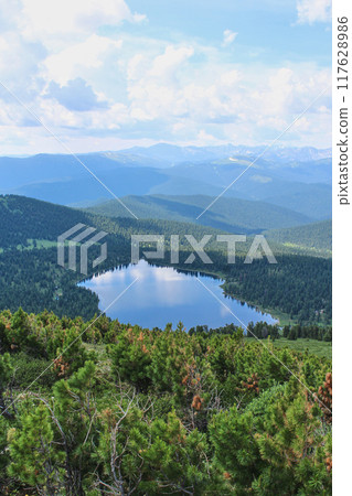 Top view of the lake, in the middle of a coniferous forest 117628986