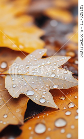 Dew-covered autumn leaves on the ground during a soft rain 117629105