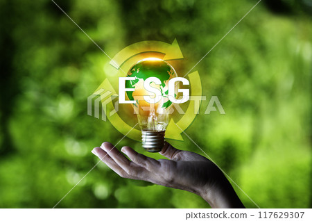 Net zero in 2050 year, ESG eco concept for environmental, social, sustainable and ethical, Human hand holding lightbulb esg system icon around on green background. Net zero in 2050 year, ESG eco concept for environmental, social, sustainable and ethical, Human hand holding lightbulb esg system icon around on green background. 117629307