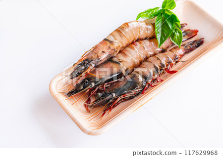 Irian Tiger in a Tray Irian Tiger in a Tray 117629968