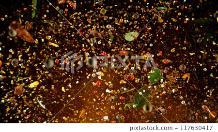 Freeze Motion Shot of Flying Mix Spices . Isolated on Black Background 117630417