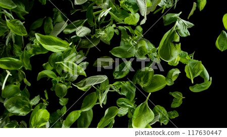 Freeze Motion of Flying Fresh Herbs Leaves, Isolated on Black Background 117630447