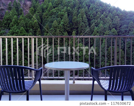 從飯店露台看到的奧多摩風景 117630672