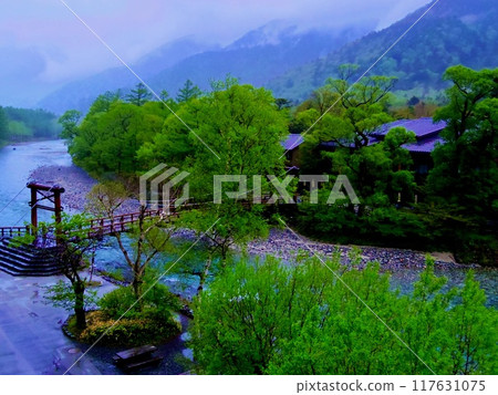 Kamikochi, fresh green in Nagano Prefecture 117631075