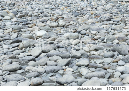 Rocky shore Rocky shore 117631373