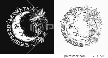 Label with crescent moon with face, fantasy pixie dragonfly, stars, text. Mythological fairy tale, mystical concept. For clothing, apparel, T-shirts, kids design 117631503