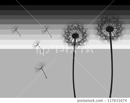 Abstract background of dandelions for design, the wind blowing seeds. Abstract background of dandelions for design, the wind blowing seeds. 117631674