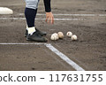 High school baseball players picking up balls on the field during pre-game practice High school baseball players picking up balls on the field during pre-game practice 117631755