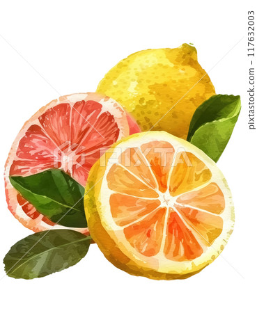 檸檬和葡萄柚 117632003