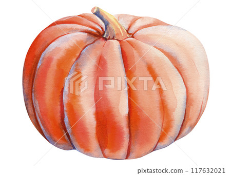 Orange pumpkin on isolated white background, fall watercolor illustration hand drawing. Autumn clip art. Ripe pumpkin 117632021