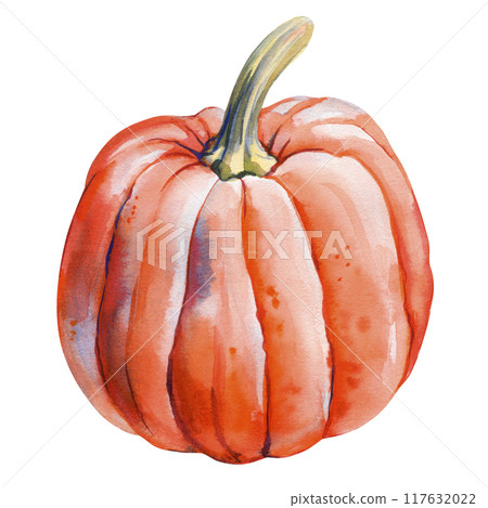 Orange pumpkin on isolated white background, fall watercolor illustration hand drawing. Autumn clip art. Ripe pumpkin 117632022