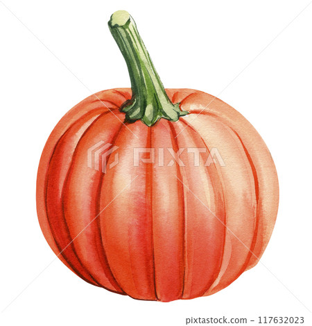 Orange pumpkin on isolated white background, fall watercolor illustration hand drawing. Autumn clip art. Ripe pumpkin 117632023