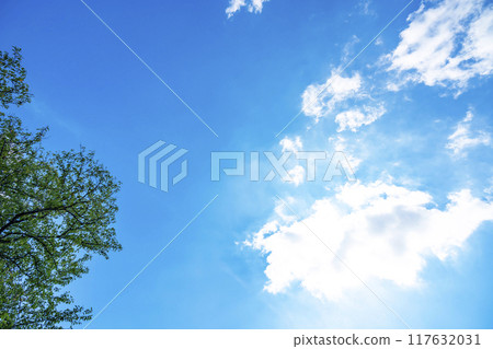 夏天的雲、樹木和陽光 夏天的雲、樹木和陽光 117632031