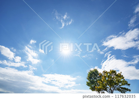 夏天的雲、樹木和陽光 夏天的雲、樹木和陽光 117632035