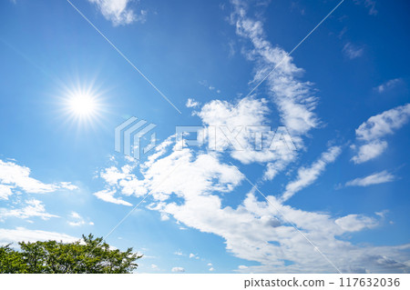 Summer clouds, trees and sun Summer clouds, trees and sun 117632036