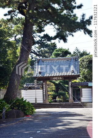 沼津市德源寺門和松樹 沼津市德源寺門和松樹 117632121