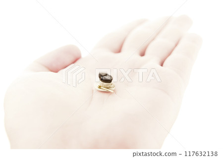 image of coffee bean mug hand 117632138