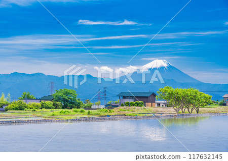 [Yamanashi Prefecture] Mt. Fuji seen over rice fields during rice planting season 117632145