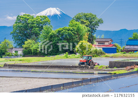 [Yamanashi Prefecture] Mt. Fuji seen over rice fields during rice planting season 117632155
