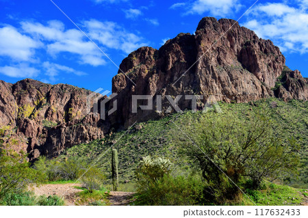 Salt River Recreation Area Arizona Salt River Recreation Area Arizona 117632433