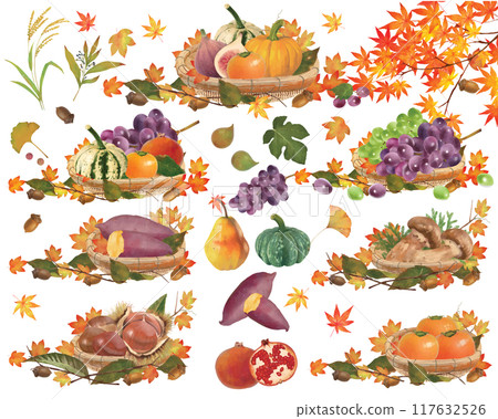 Illustration material of delicious autumn taste series set of fruits, vegetables and nuts, basket and autumn leaves maple 117632526