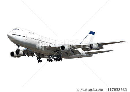A jumbo on a clean white background 117632883