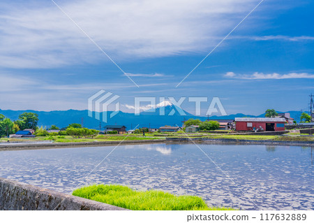 [Yamanashi Prefecture] Mount Fuji seen over rice fields ready for planting 117632889
