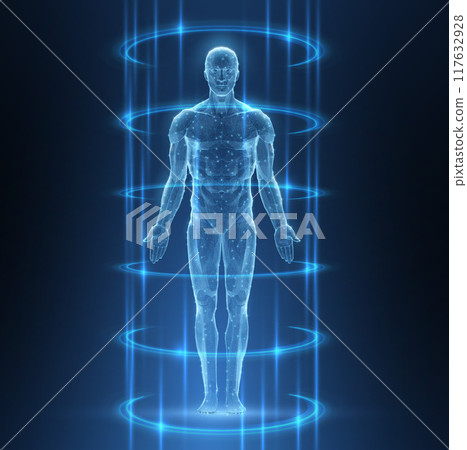 Human body. Abstract vector. Digital anatomy, Medical technology, Muscle structure. Human body. Abstract vector. Digital anatomy, Medical technology, Muscle structure. 117632928