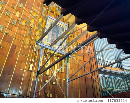 墨西哥瓜達露佩大教堂 117633314