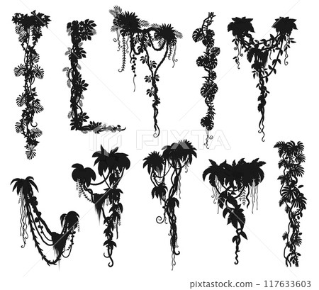 Jungle forest liana branches and tropical ivy vine, vector silhouettes. Tropical rainforest creeper plant or jungle liana leaves and bindweed tree with climbing tendrils silhouette for border frames 117633603