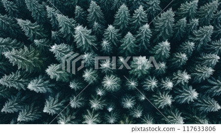 Aerial top view green forest and green trees in rural zone. Neural network ai generated art 117633806