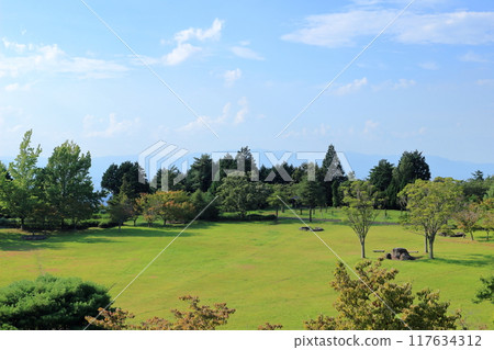A large, green park A large, green park 117634312