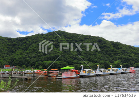 Early summer, Lake Haruna, Mount Haruna, Mount Haruna Fuji, Gunma 117634539