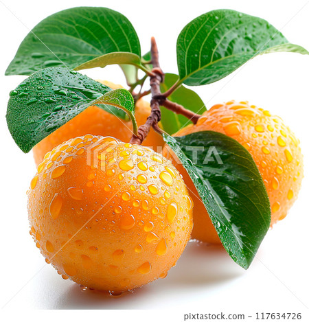 Longan, exotic fruit on white isolated background - AI generated image 117634726