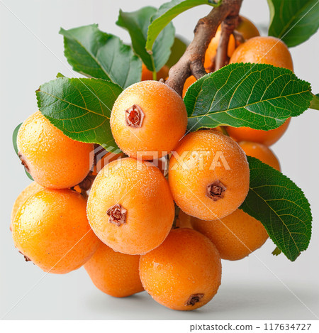 Longan, exotic fruit on white isolated background - AI generated image 117634727
