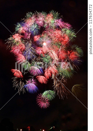 [Niigata, Nagaoka] Huge fireworks including the Phoenix Fireworks, a prayer for recovery, and the Nagaoka Festival Fireworks Display. I enjoyed it up close. 117634772