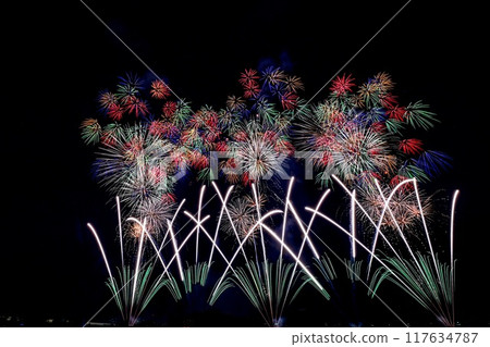 [Niigata, Nagaoka] Huge fireworks including the Phoenix Fireworks, a prayer for recovery, and the Nagaoka Festival Fireworks Display. I enjoyed it up close. 117634787