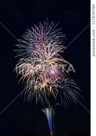 [新潟/長岡]祈求重建的鳳凰煙火、長岡祭煙火等超大型煙火。我近距離欣賞它。 117634788