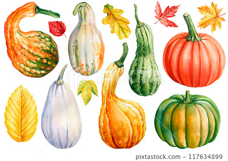 Decorative pumpkins and autumn leaves watercolor illustration isolated. Hand painted fall clipart. Decorative elements 117634899