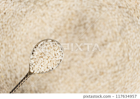 White roasted sesame seeds in a spoon space for text top view. White roasted sesame seeds in a spoon space for text top view. 117634957