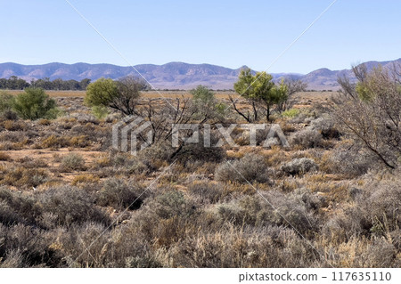 Mountains in the Australian Outback Mountains in the Australian Outback 117635110