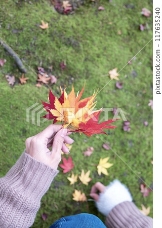 尋找秋天的落葉 尋找秋天的落葉 117635240