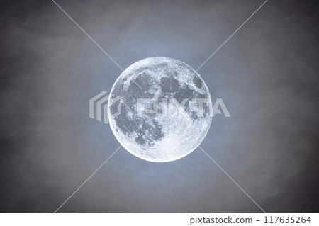 August 20, 2024 Stargen Moon Full Moon 117635264
