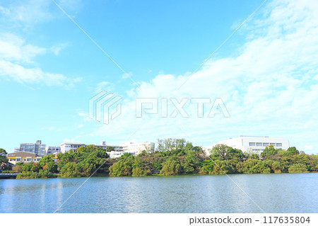 愛知縣大府志學館大學風景 117635804
