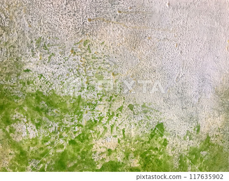 Texture of artistic plaster green and white colors. Abstract art stucco background with olive pattern, macro. Texture of artistic plaster green and white colors. Abstract art stucco background with olive pattern, macro. 117635902