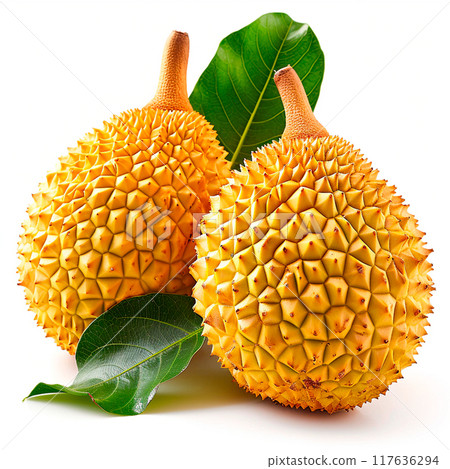 Jackfruit on white isolated background - AI generated image 117636294