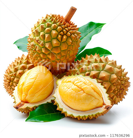 Durian on white isolated background - AI generated image Durian on white isolated background - AI generated image 117636296