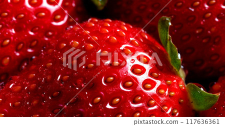 Strawberry. Macro of fresh organic natural berries. Fruit red background - AI generated image Strawberry. Macro of fresh organic natural berries. Fruit red background - AI generated image 117636361