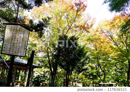 Oyama Hachikenbo 117636521